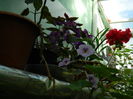 DSCN2887