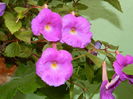 DSCN2928