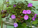 DSCN3028