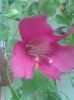 20160717_173124