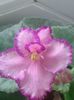 20160718_072506