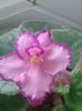 20160718_072510