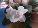 20160719_100638