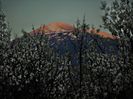DSC05469