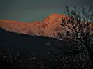 DSC05470