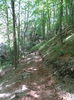 DSC01875