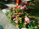 IMG_20160719_174421