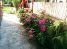 IMG_20160719_174353
