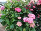 IMG_20160719_174344