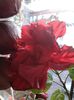 20160720_072300