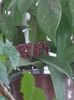 20160720_072314