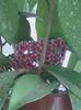 20160720_072326