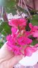 20160720_144217
