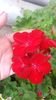 20160720_144526