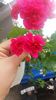 20160720_144747
