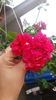20160720_144752