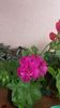 20160720_144646