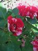 20160720_111453