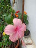 DSC02744