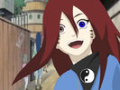 13_14_ani