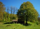 DSC05867