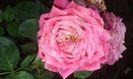 20160721_025116