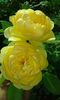 20160721_022842