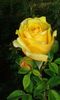 20160721_022703