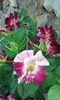 20160721_022128