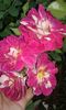 20160721_034046