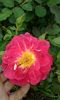 20160720_163753