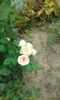 20160720_162947