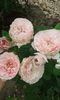 20160720_162601