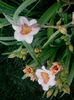 20160708_195625
