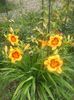 20160628_130220