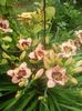 20160628_130334