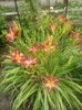 20160628_130507