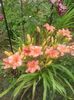 20160628_130516