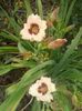 20160628_130526