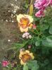 20160628_130602