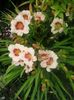 20160628_130756