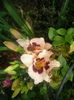 20160628_131254