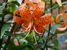 DSC09298