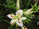 DSC09420
