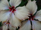 DSC09308