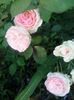 20160618_065528