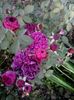20160618_065840