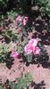 20160708_124348