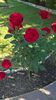 WP_20160721_17_48_20_Pro