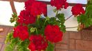 WP_20160721_18_42_35_Pro